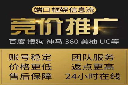 成功运用SEM服务实现品牌推广的案例分析