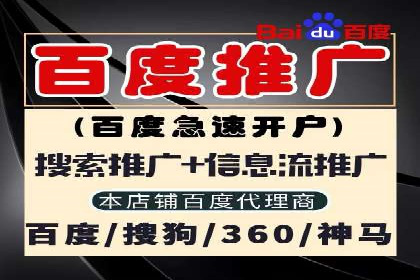 某零售企业网络推广竞价的成功策略分享